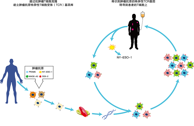 2024新澳门免费原料网香港开吗